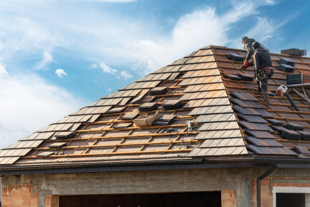 Best Roof Moss and Algae Removal  in Bowmansville, PA